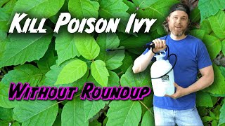 How to Kill Poison Ivy Without Killing Everything Else Or Yourself [upl. by Cammy]