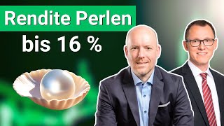 Unbekannte DividendenPerlen bis 16  Rendite ► Mit Swen Lorenz und Norbert Schmidt [upl. by Mohr815]