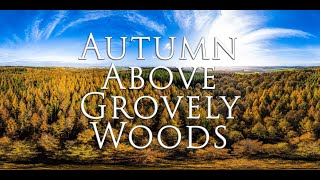 Autumn above Grovely Woods [upl. by Winsor]