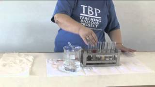 Video 7  TESTING THE PH OF SOILSmp4 [upl. by Crosley]