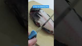 3 beginner fish filleting tips [upl. by Oenire]