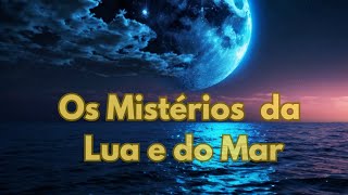 Influência da Lua nas Marés Bioluminescência e Vida Marinhaquot [upl. by Peery]