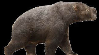 Jurassic UK 15 diprotodon [upl. by Orvie]