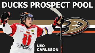 ANAHEIM DUCKS Prospect Pool  Top 10 NHL Prospects Ranking [upl. by Ecenahs]