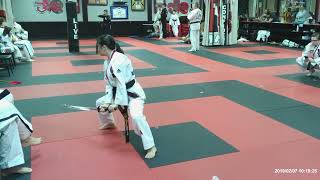 ATA Taekwondo Traditional Sword Form [upl. by Musetta]