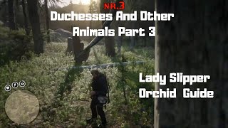 RDR2  Duchesses And Other Animals Part 3  Lady Slipper Orchid Guide [upl. by Llennaj]