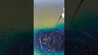 ULTIMATE Pond Hack farm ponds ponddye water satisfying asmr asmrvideo [upl. by Clarkin]