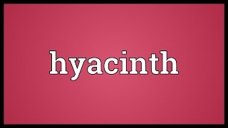 Hyacinth Meaning [upl. by Yreva]