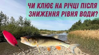 VLOG 14 ловля на річці в Карпатах коли рівень води знижується [upl. by Gallenz45]