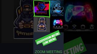 ZOOM MEETING gone wrong [upl. by Humfried]