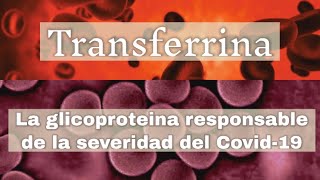 ¿Qué es la transferrina Una glicoproteina responsable de la severidad del coronavirus [upl. by Wistrup]