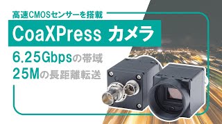 CoaXPress カメラ [upl. by Cheadle]