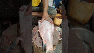 Expert Fish Cutter  Amazing Big Katla Fish Cutting Live In Fish Market  shorts fishing fish [upl. by Butterworth523]