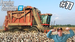 Mega veel katoen amp mais oogsten 77 Farming Simulator 22 Nederlands PS5 gmeplay [upl. by Licha858]