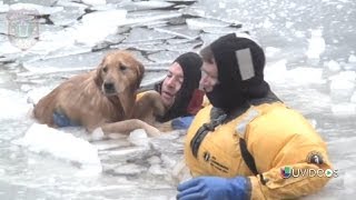 Imágenes de Impacto impresionante rescate de un perro dentro un lago congelado  Primer Impacto [upl. by Anselmi]