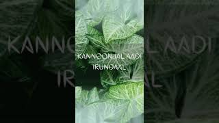 Kannoonjal Aadi Irundhal  Lyrics  shorts [upl. by Suillenroc]