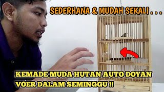 SEDERHANA MUDAH DAN CEPAT CARA MELATIH BURUNG KEMADE MAKAN VOER  SEMINGGU LANGSUNG NGEVOER [upl. by Enomrej437]