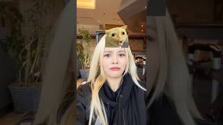 Trying this cat filter  wait for me 😆  shortvirul shortvideoviral viralshort catfilter [upl. by Enamart993]