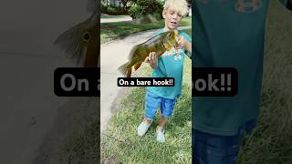 On a bare hook music rap shorts summer fishinggear fishing bass fishingshorts viral fyp [upl. by Bergmans]