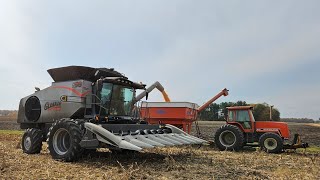 Gleaner S98 Ohio Corn Harvest 2024 [upl. by Alletniuq]