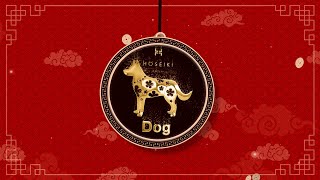 DOG Zodiac Forecast 2024  2024 属狗生肖运势 [upl. by Yssirhc]