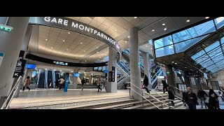 The Most Beautiful Train Station in Europe  Paris Montparnasse Gare [upl. by Eneleh935]