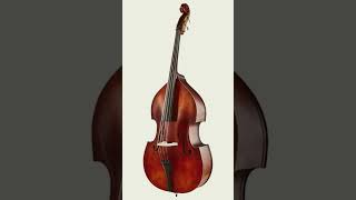 Double Bass Sound Effect [upl. by Notnek]