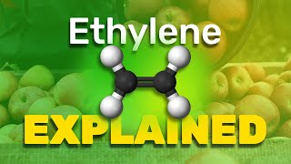 Ethylene Explained 2024 [upl. by Ynamad]