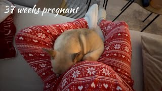 Weekly vlog  37 weeks pregnant [upl. by Scotney563]