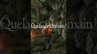 How do you get rid of the maggot head in DS1  ds1 souls darksouls guide fromsoftware [upl. by Aseefan]