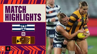 Geelong v Hawthorn Highlights  Week Five 2024  AFL [upl. by Ilke]