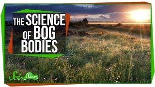 Chemistry amp Corpses The Science of Bog Bodies [upl. by Eico]