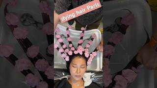 How to girl dying hair Paris painting haircuttingessentials hairdye girlhairstyles hairtutorial [upl. by Omora]