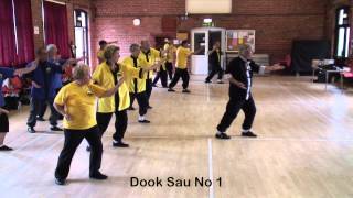 Dook Sau Set 1 Kung Fu [upl. by Anton]