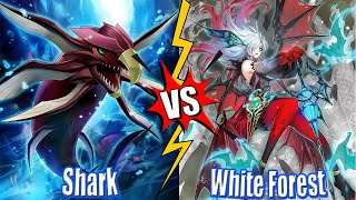 Shark Water XYZ vs White Forest Runick  High Rated DB YuGiOh 2024 [upl. by Ennirok596]