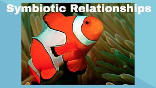 Examples of Symbiotic Relationships [upl. by Melgar]