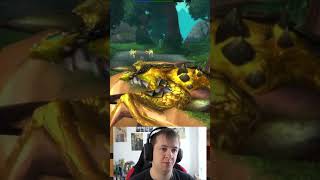 TimeLost ProtoDrake  World of Warcraft Secrets amp Easter Eggs [upl. by Ocsic]