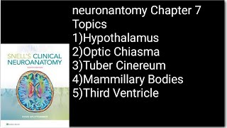 Neuronantomy Chapter 7HypothalamusOptic ChiasmaTuber CinereumMammillary Bodiesneuroanatomy [upl. by Aerdnek]