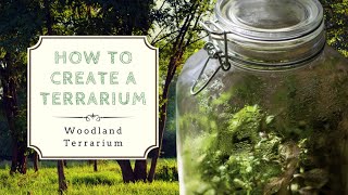 How to Create a Closed Terrarium  Ecosystem in a Jar [upl. by Dympha101]