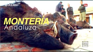 Montería Andaluza Documental en el que asistiremos a la auténtica montería andaluza [upl. by Enillebyam]