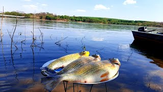 PESCARIA NO RIO GRANDE E SUAS SURPRESAS QUEM DISSE QUE PESCAR AQUI SERIA FÁCIL [upl. by Arehs]