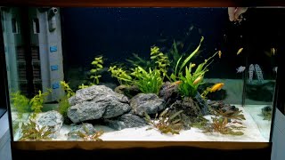 Planted Cichlid Community Tank Setup  TANGANYIKAN CICHLIDS  Oase Styleline 125 [upl. by Gambrell]