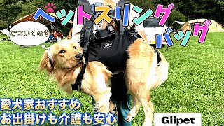 お出掛けや介護にも最適なペットスリングバック【Giipet】岐阜アウトドアジャンボリー初出店のあの店へ【DallyFluffy】キャンプギアgoldenretriever [upl. by Cutlerr]