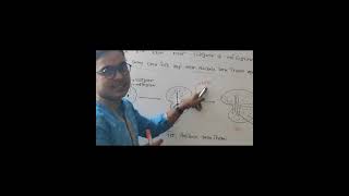 SSCHSC Biology 2nd Online Class quotCell Divisionquot এর গুরুত্বপূর্ণ টপিক quotAmitosis Cell Divisionquot [upl. by Rafferty227]