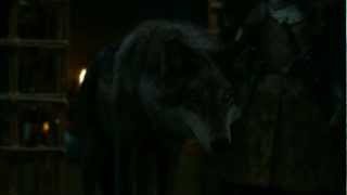 Game of Thrones Season 2 Direwolf Robb Stark vs Jaime Lannister HD [upl. by Chalmer466]