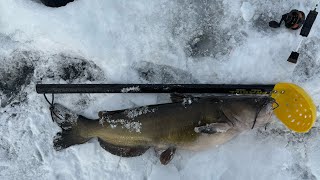 First Catfish Through The Ice Horseshoe chain of lakes mn [upl. by Ahscrop]