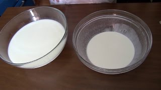 Cómo Separar Extraer la Crema de la Leche o Nata de la Leche [upl. by Euqinorev]