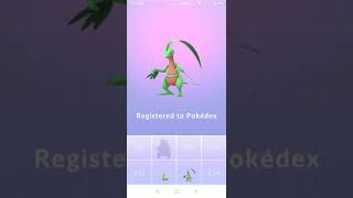 Treecko Evolves Into Grovyle  Pokemon Go Evolutions [upl. by Willet]