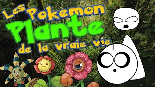 Point Culture  les Pokémon PLANTE de la vraie vie [upl. by Oicnerolf]