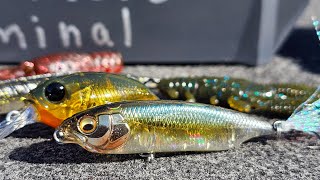 The Best Bait Finesse BFS Tricks For Spring Bass Fishing [upl. by Zanahs248]